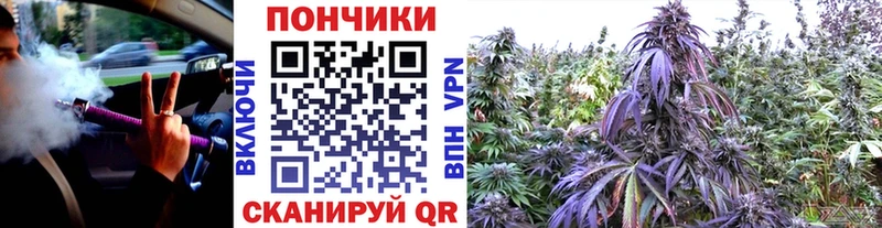 Марихуана THC 21%  купить   Асбест 
